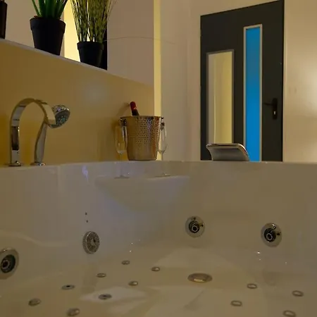 公寓 Le Cocoon & By Nancyintimelounge 南锡