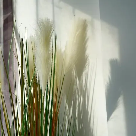 Apartment Le Cocoon & By Nancyintimelounge