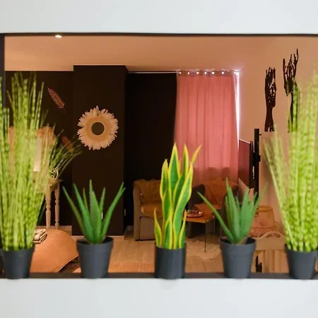 Le Cocoon & By Nancyintimelounge 南锡