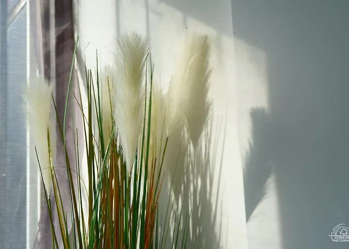 Apartment Le Cocoon & By Nancyintimelounge