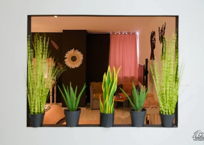 Le Cocoon & By Nancyintimelounge Nancy